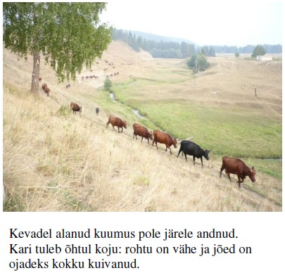 kari.jpg